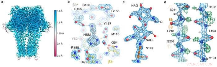 New Cryo-EM Breaks Resolution Limits, Enabling First-Ever Visualization of Individual Atoms