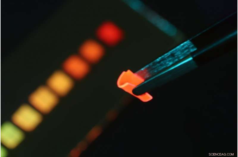 Revolutionizing Streetwear: Solar‑Powered Textiles Harvest Energy Everywhere