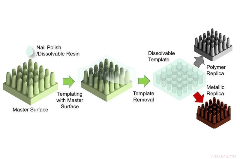 New Fabrication Technique Brings Cicada-Inspired Waterproof Surfaces to Life