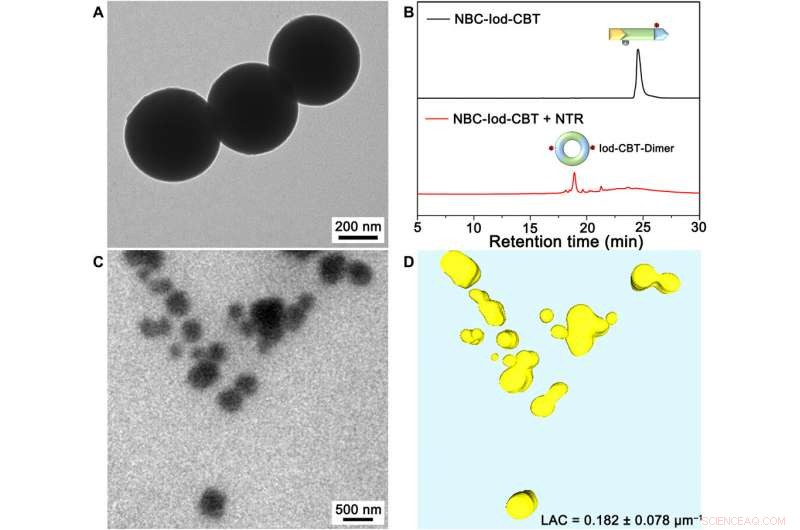 Real-Time Imaging of Intracellular Nanoparticle Assembly via Nano-CT