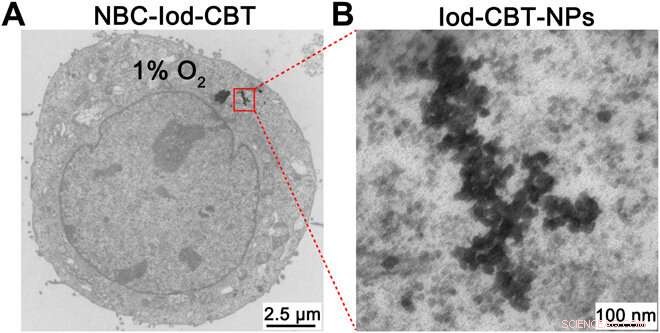 Real-Time Imaging of Intracellular Nanoparticle Assembly via Nano-CT