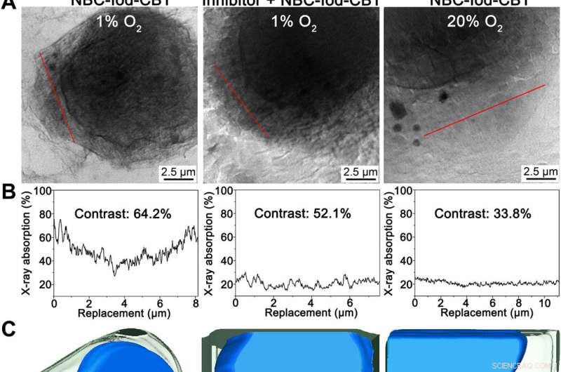 Real-Time Imaging of Intracellular Nanoparticle Assembly via Nano-CT