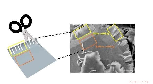 Chemical Scissors Transform 2D Transition Metal Dichalcogenides into Nanoribbons for Affordable Hydrogen Catalysis