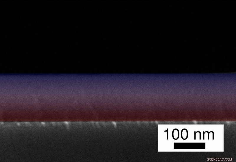Advanced Multifunctional Nanocoatings for Superior Performance