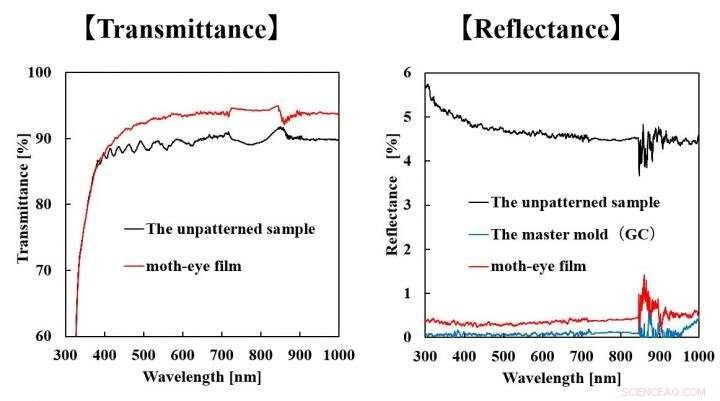 Nature-Inspired Transparent Anti-Reflective Coatings: Moth-Eye Nanostructures for Large-Scale Films