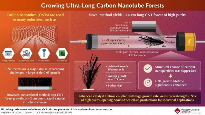 Japanese Scientists Achieve Record-Long Carbon Nanotube Forest, 7× Existing Lengths