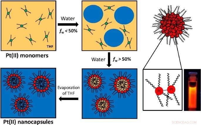 Liquid Crystal Platinum Nanocrystals Enable Efficient Encapsulation of Water‑Insoluble Drugs