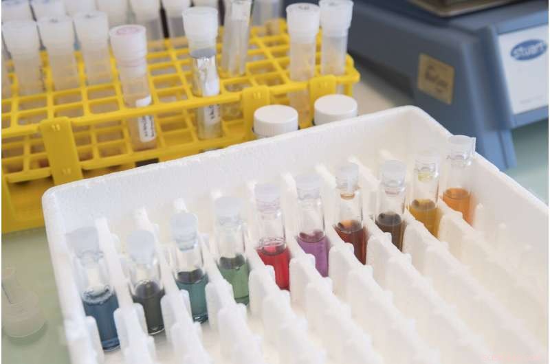 Customizable Nanometric Carbon Nitride Photocatalysts for Sustainable Chemical Synthesis