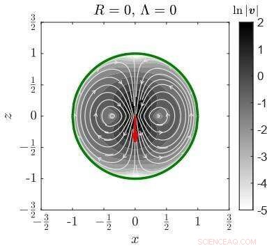 Advanced Modeling of Microswimmers for Targeted Drug Delivery