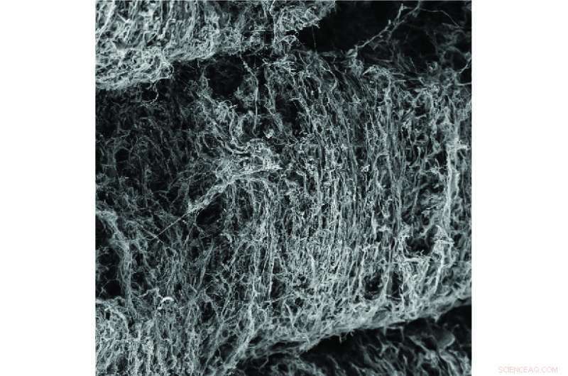 Scientists Harness Bacteria to Print Micro‑Scale 3D Structures