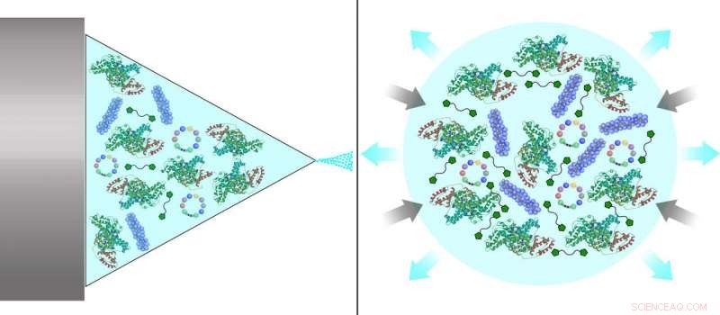 Innovative Nanoparticle Breakthrough Crosses Blood-Brain Barrier, Eradicates Recurrent Brain Tumors in Mice