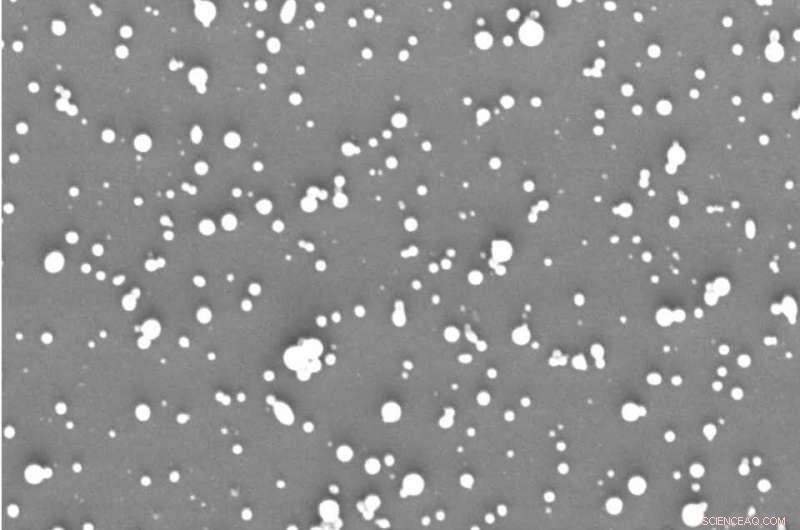 Innovative Nanoparticle Breakthrough Crosses Blood-Brain Barrier, Eradicates Recurrent Brain Tumors in Mice