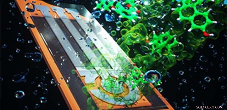 Laser-Generated Graphene Electrodes Enhance BPA Detection in Water