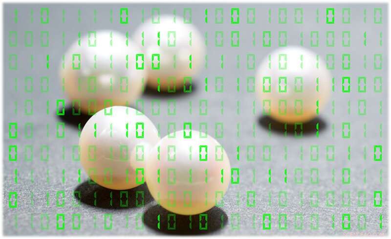 Pearls Offer Innovative Spectral Processing for Biomedical and Military Applications