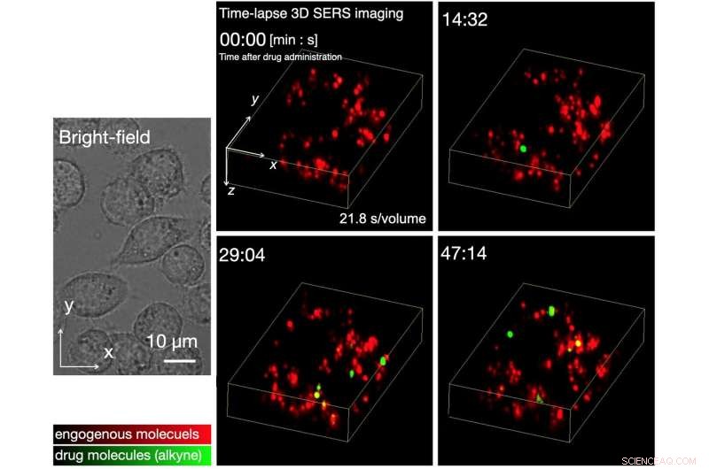 Gold Nanoparticles Illuminate Drug Candidates in Live Cells