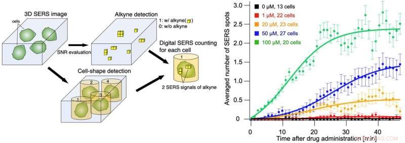 Gold Nanoparticles Illuminate Drug Candidates in Live Cells
