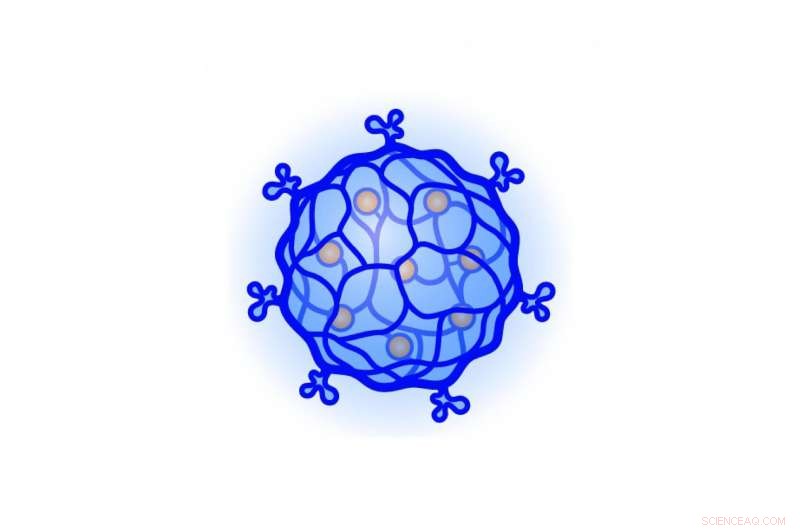 DNA Nanogel Enables Precision Chemotherapy Delivery