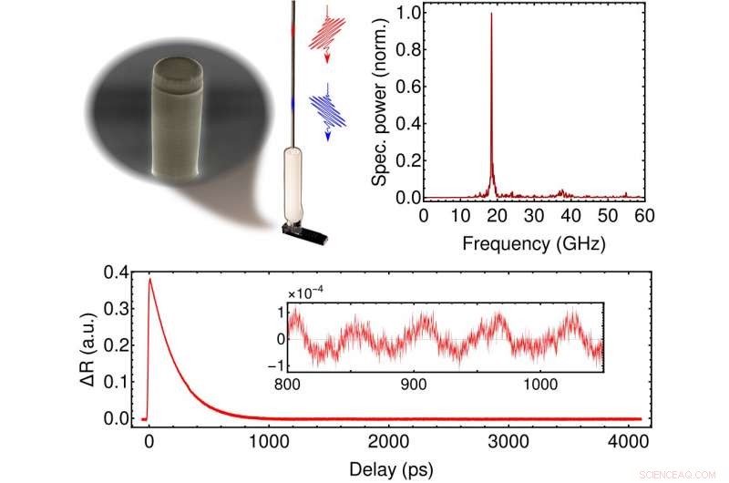 Plug‑and‑Play Integrated Nanoacoustics: Seamless Optophononic Resonator Design