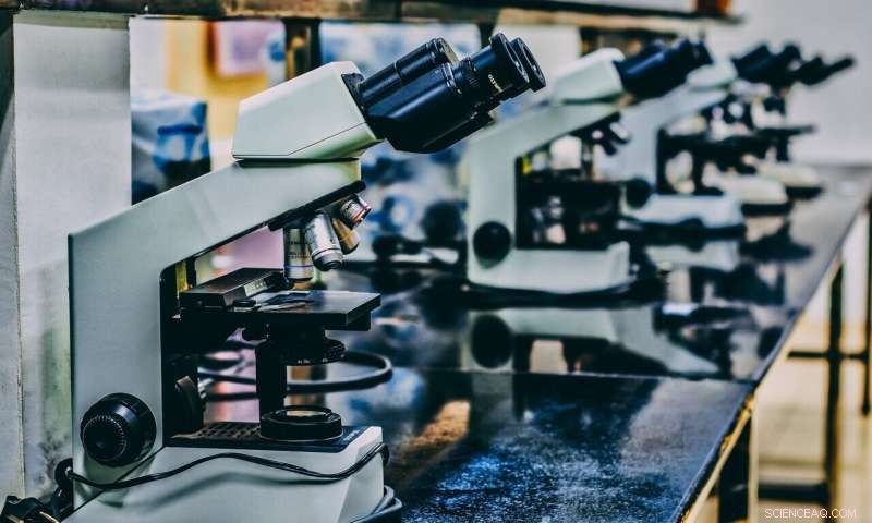 Nature s Toolkit: Zinc Oxide Surfaces and Hydrodynamics Destroy Viruses & Bacteria