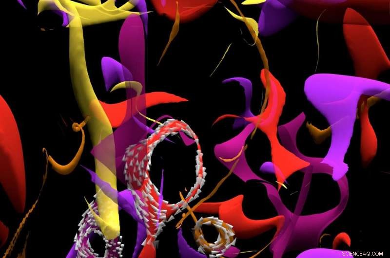 Circular Magnetic Vortices Unveiled in Micropillar Structures