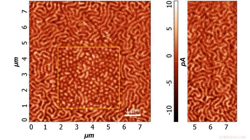 Researchers Reveal Method to Encode Data in Magnetic Skyrmions