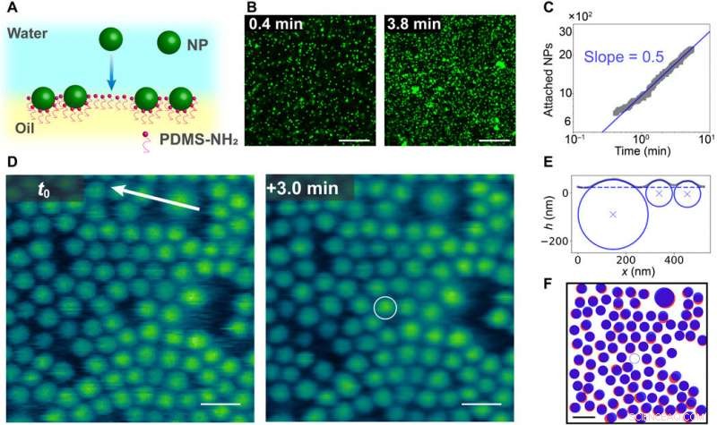 Enhancing Interfacial Stability: Nanoparticle Jamming at the Water–Oil Boundary