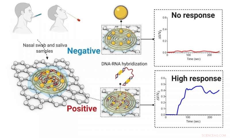 Rapid Paper‑Based Electrochemical Sensor Detects COVID‑19 in Under 5 Minutes