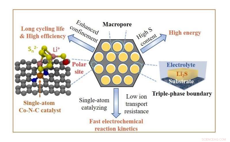 Revolutionary Cathode Design Boosts Next‑Gen Lithium‑Sulfur Battery Performance