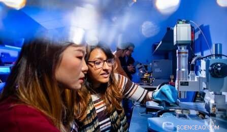 Atom‑Thin Transistor Operates at Half the Voltage of Conventional Semiconductors, Enhancing Current Density