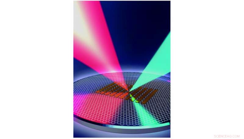 A Single Atom Layer Amplifies Nonlinear Light Generation