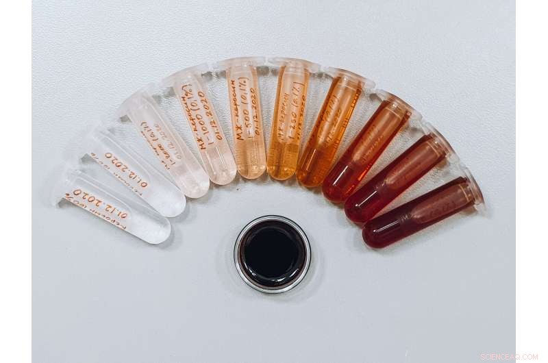 New Breakthrough: Expanding Magnetic Fluid Applications in Medicine