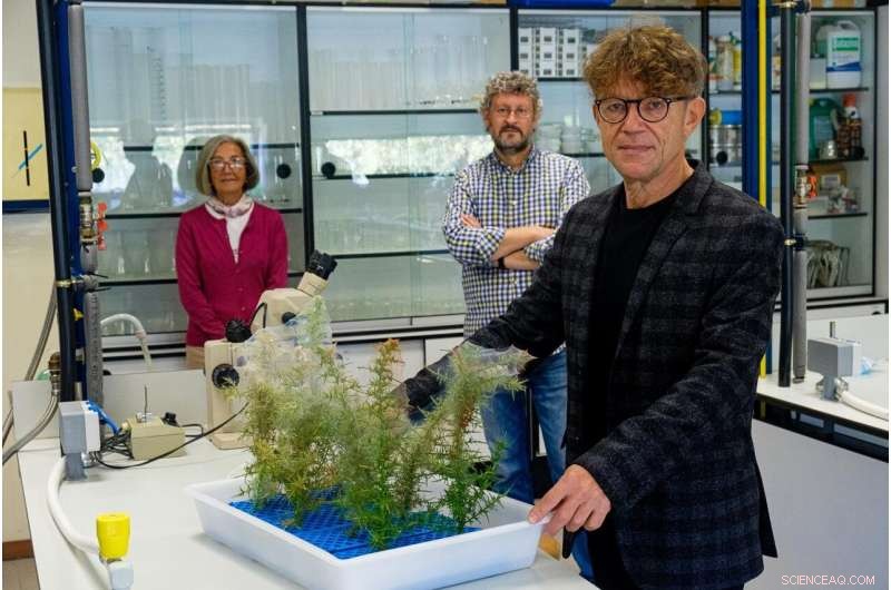 Innovative Mite‑Silk Nanobiomaterial Promises Breakthrough Biomedical Applications