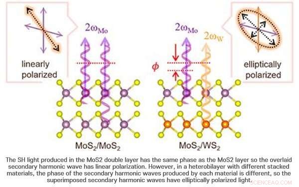 POSTECH Researchers Uncover Second‑Harmonic Generation Interference in 2‑D Heterobilayers