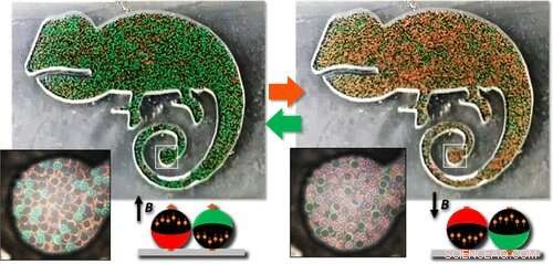 Magnetic Janus Microparticles: A New Tool to Combat Counterfeiting