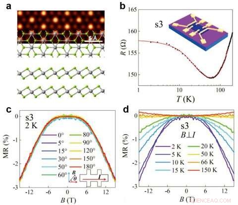 Atomic Vacancies Induce Localized Magnetic Moments in Transition Metal Dichalcogenide Flakes
