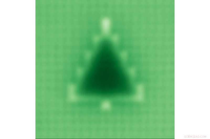 Physics Student Builds the Smallest Christmas Tree Ever