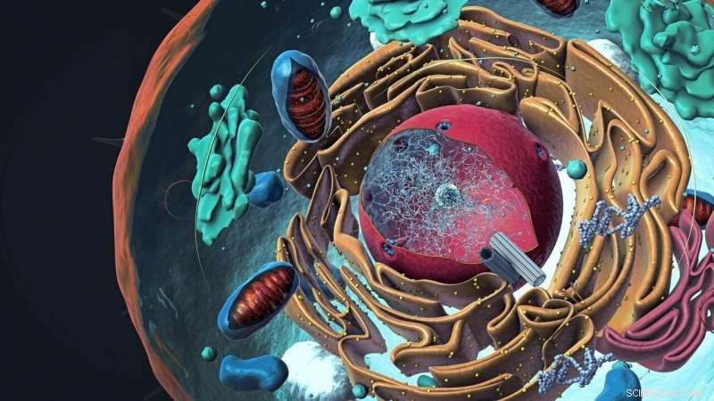 UChicago Scientists Develop Groundbreaking Technique to Measure Cellular Electrical Activity