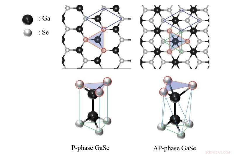 Shapeshifting Crystals: Stability Variations in Gallium Selenide Monolayer Phases