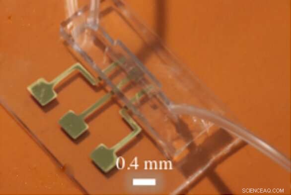 Rapid 10-Second Detection of COVID-19 Antibodies Using Nanoparticle 3D‑Printed Biosensor
