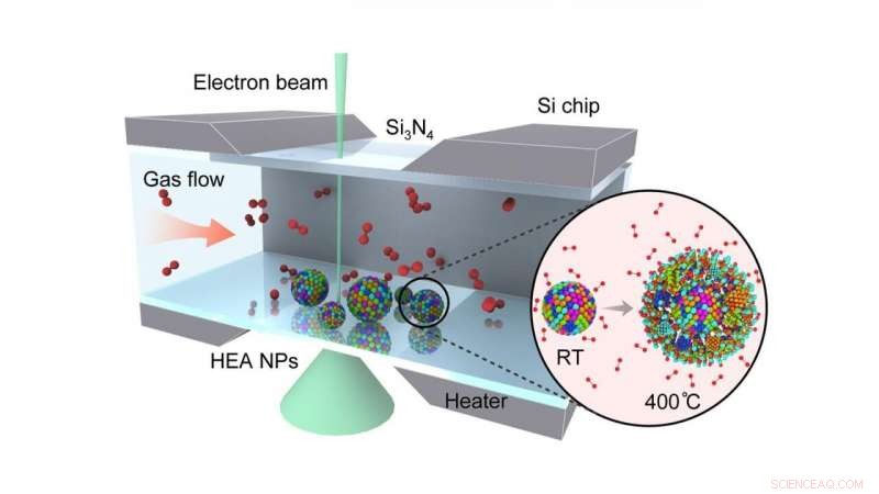 Scientists Reveal How Multi-Element Nanoparticles Enhance Stability and Durability