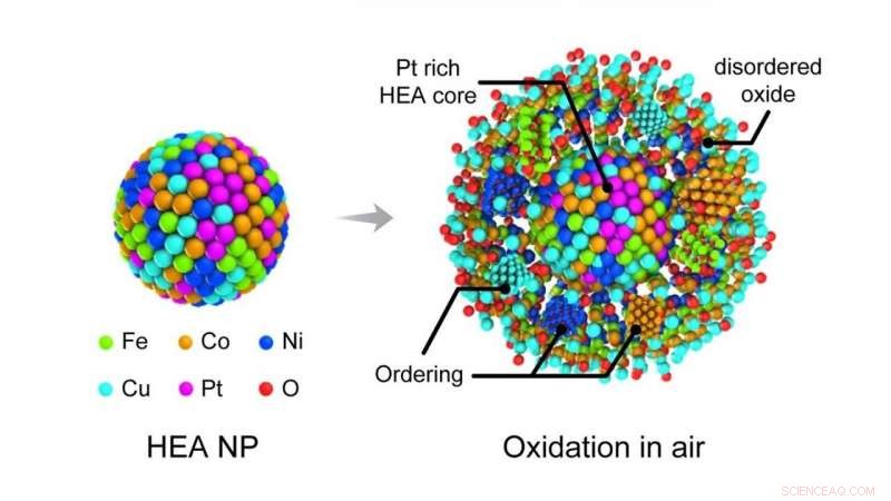 Scientists Reveal How Multi-Element Nanoparticles Enhance Stability and Durability