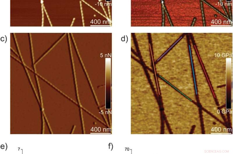 Evolution of Single Amyloid Fibrils into Microcrystals: A Nanomechanical Insight
