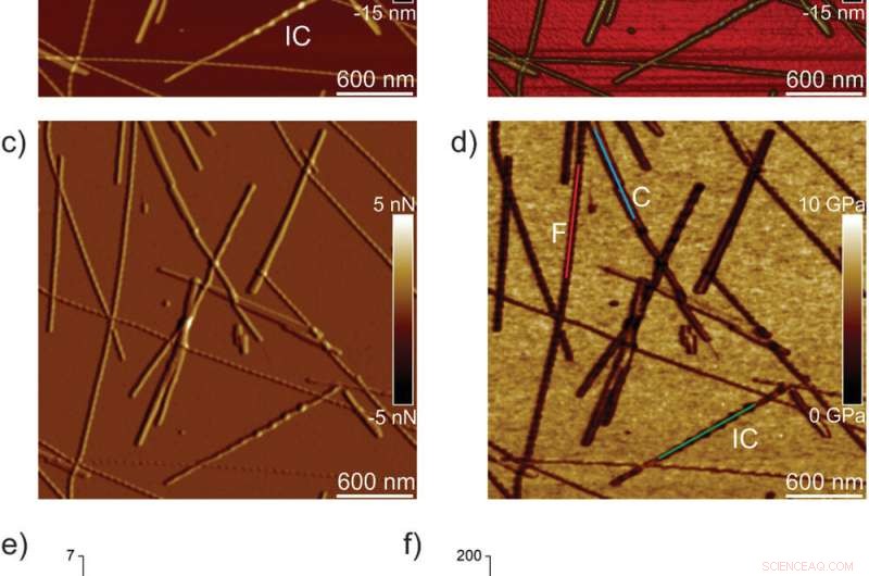 Evolution of Single Amyloid Fibrils into Microcrystals: A Nanomechanical Insight