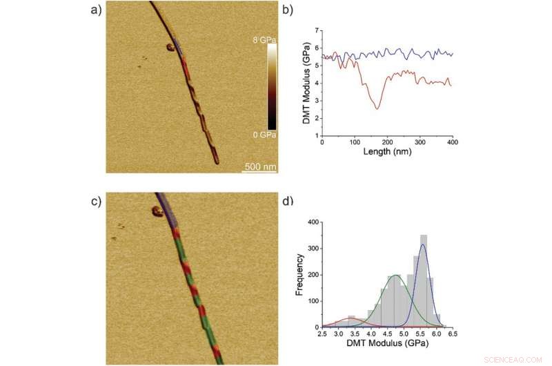 Evolution of Single Amyloid Fibrils into Microcrystals: A Nanomechanical Insight