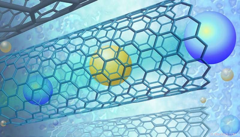 Rapid Ion Transport in Carbon Nanotube Membranes Promises Advances in Human Health
