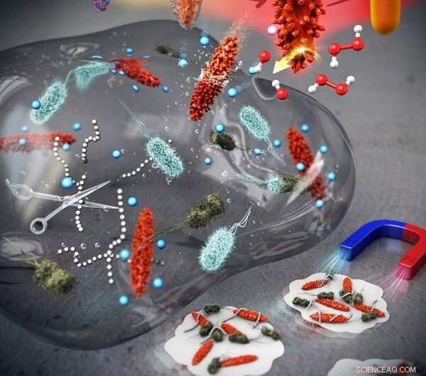 Nanocrystals Targeting and Eradicating Bacterial Biofilms
