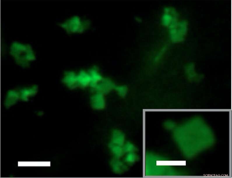 Chemists Engineer Controllable Shape‑Shifting Nanomaterial