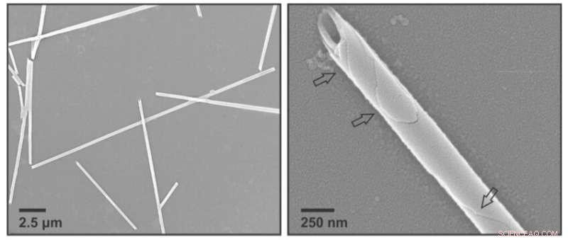 Chemists Engineer Controllable Shape‑Shifting Nanomaterial