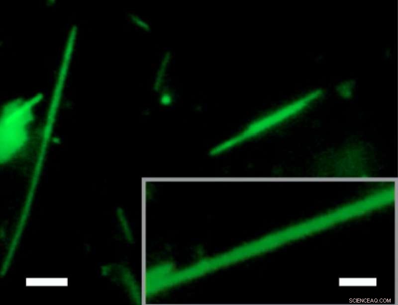 Chemists Engineer Controllable Shape‑Shifting Nanomaterial