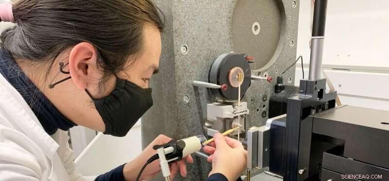 Unveiling the Secret Strengthening Mechanism in Biological Ceramics